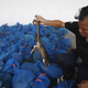 A customs officer shows a pangolin to the media at the customs department in Bangkok September 26, 2011. Officers stopped a pick-up truck carrying 97 pangolins, worth around 1 million baht ($32,372), in the southern province of Prachuap Khiri Khan on Sunday. According to custom officers, the pangolins were en route to be sold in China. REUTERS/Chaiwat Subprasom